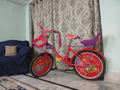 Girls Pink Repunzel cycle