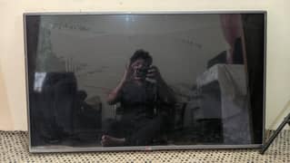 LG