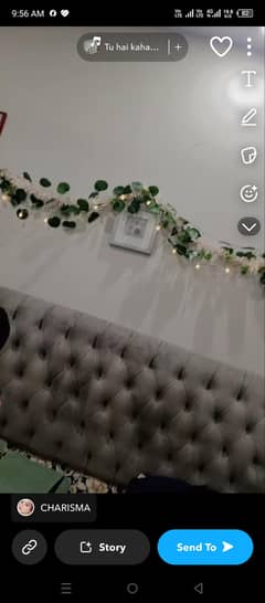 bed