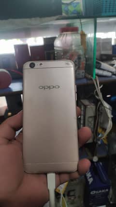 oppo57
