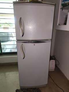 Waves fridge