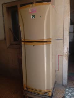 Pel full size fridge