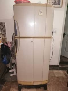 PEL Fridge