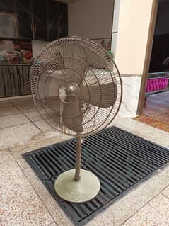 Pedestal