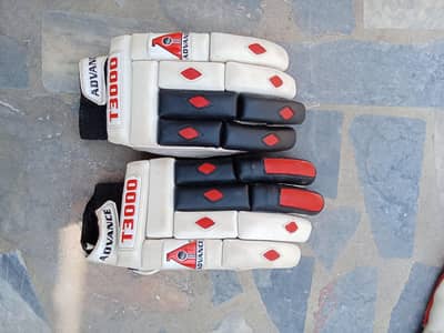 cricket kit
