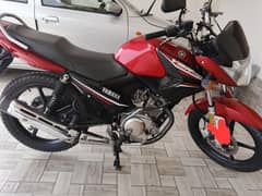YBR