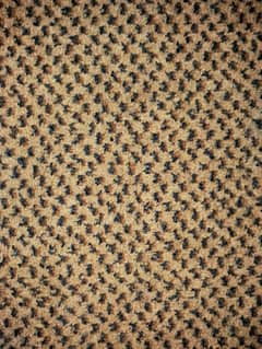 12×12 Ft Bedroom Carpet for Sale gently used-great condition