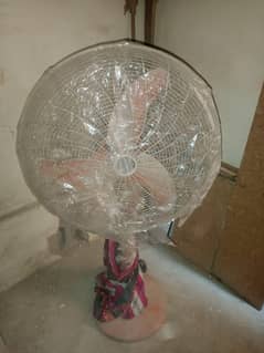 fan