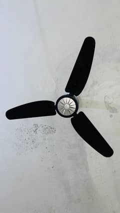 Black Hamaliya Fans 5 adad. aur 1 adad Inayat Fan.