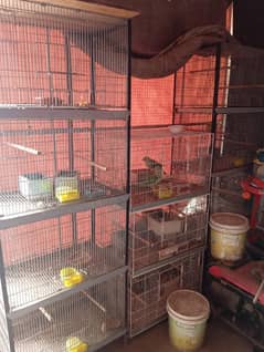 cage available
