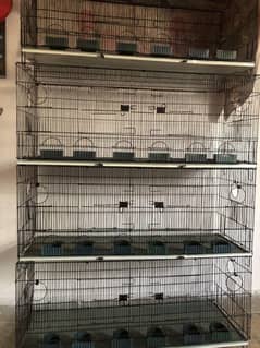 new cage