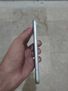 Iphone xr (128) Dual Pta Approved