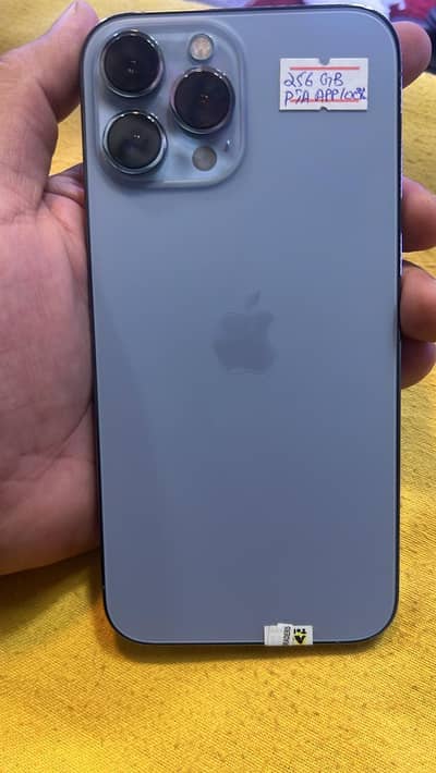 13 pro max