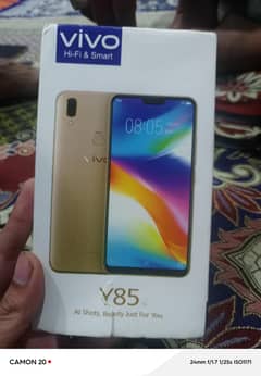 Vivo