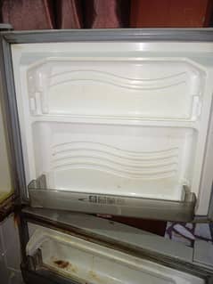 medium size fridge Dawlance