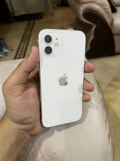 Iphone 12 pta approved