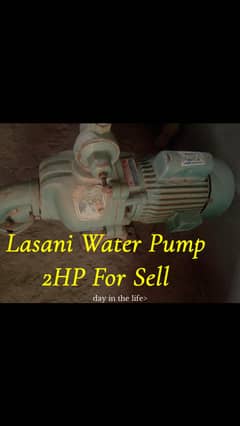 Lasani