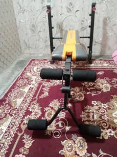 gYm machine with bar 5 KG plates