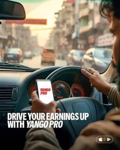car driver job yango
