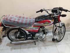 Unique UD70 (2023)APF 03021503414