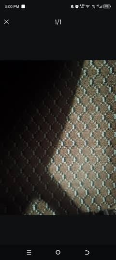 Carpet for Sale 12x12