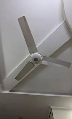 Ceiling fan,100% copper
