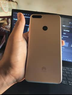 Y7