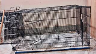 3 by 2 feet Big parrots cage