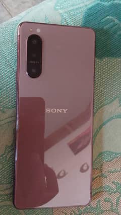 Sony