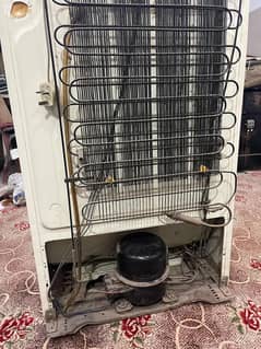 Fridge for Urgent Sale (Gas nahi hai)