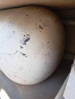 CNG Gas Cylinder