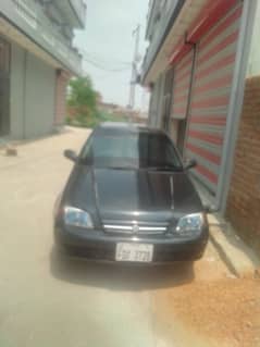Caltus