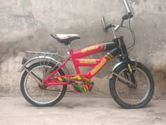 Chicago Bike best no. 1