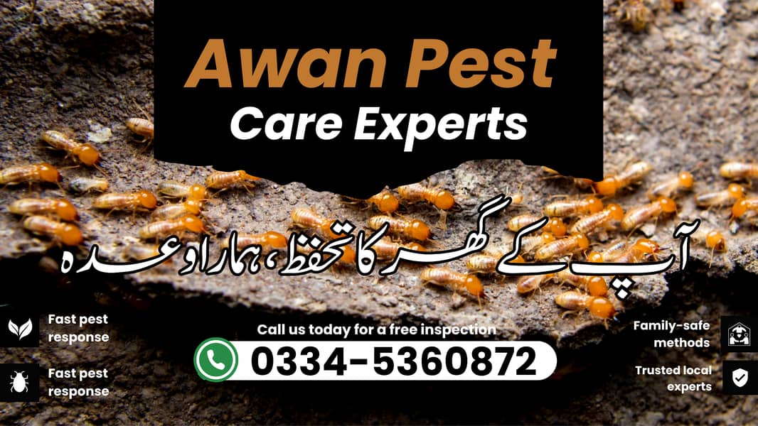 Pest Control/Termite Control/Fumigation Spray/Deemak Control Services. 1