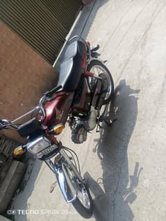 Honda 70 2024 model