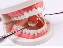 DENTIST
