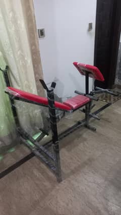 bench press/gym bench