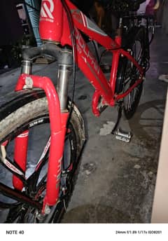 dolphin bicycle for sel