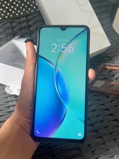 vivo