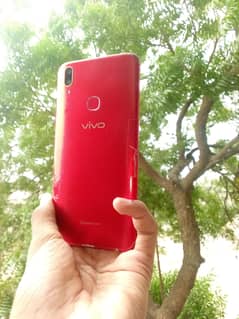 VIVO