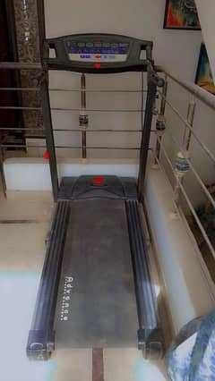 treadmills and spin bike