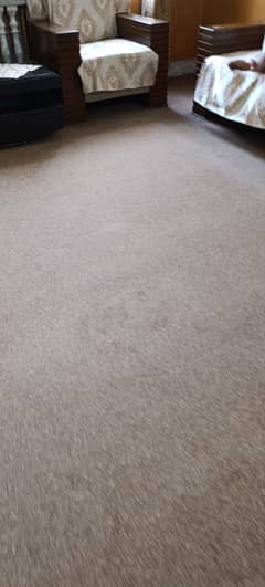 karpet