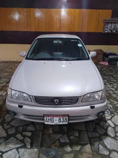 corolla