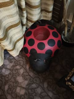 Water proof lady bug pot