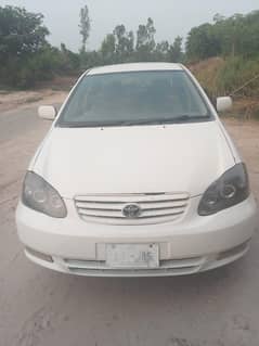 Corolla