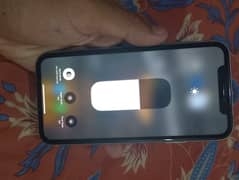 Ihone 11 water pack everything working
