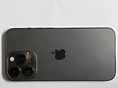 13pro
