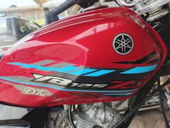 Yamaha YBZ DX 2023 03076676971