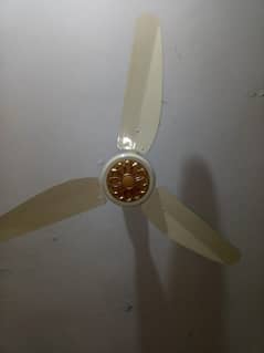 ceiling