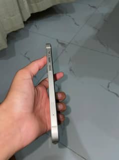 iphone 12  pta approved